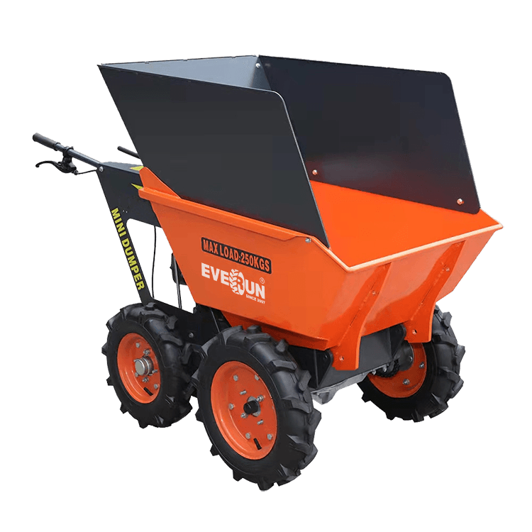 Everun ERMD250C Site Dumper