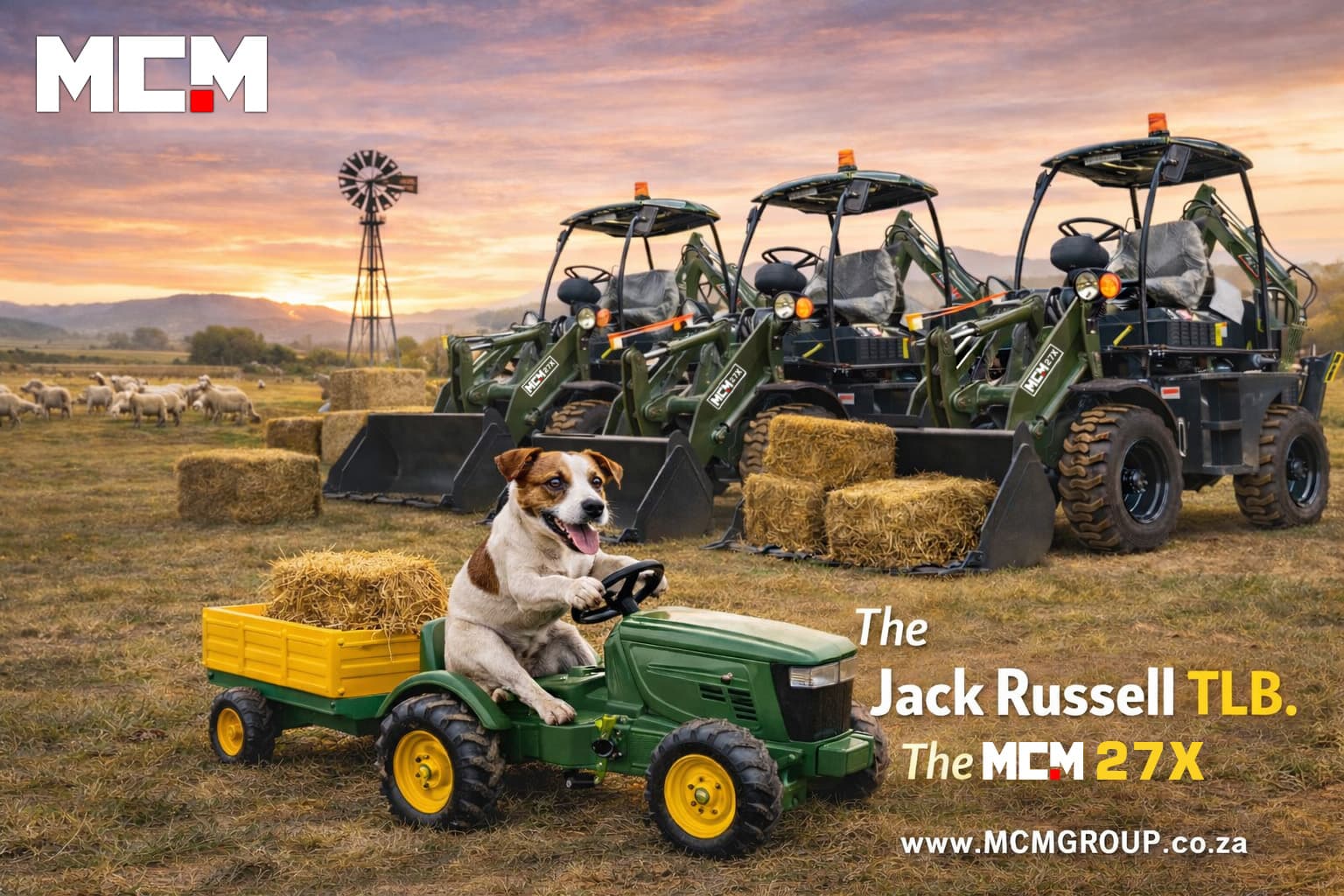 27X MCM Jack Russell Mini TLB For Sale South Africa