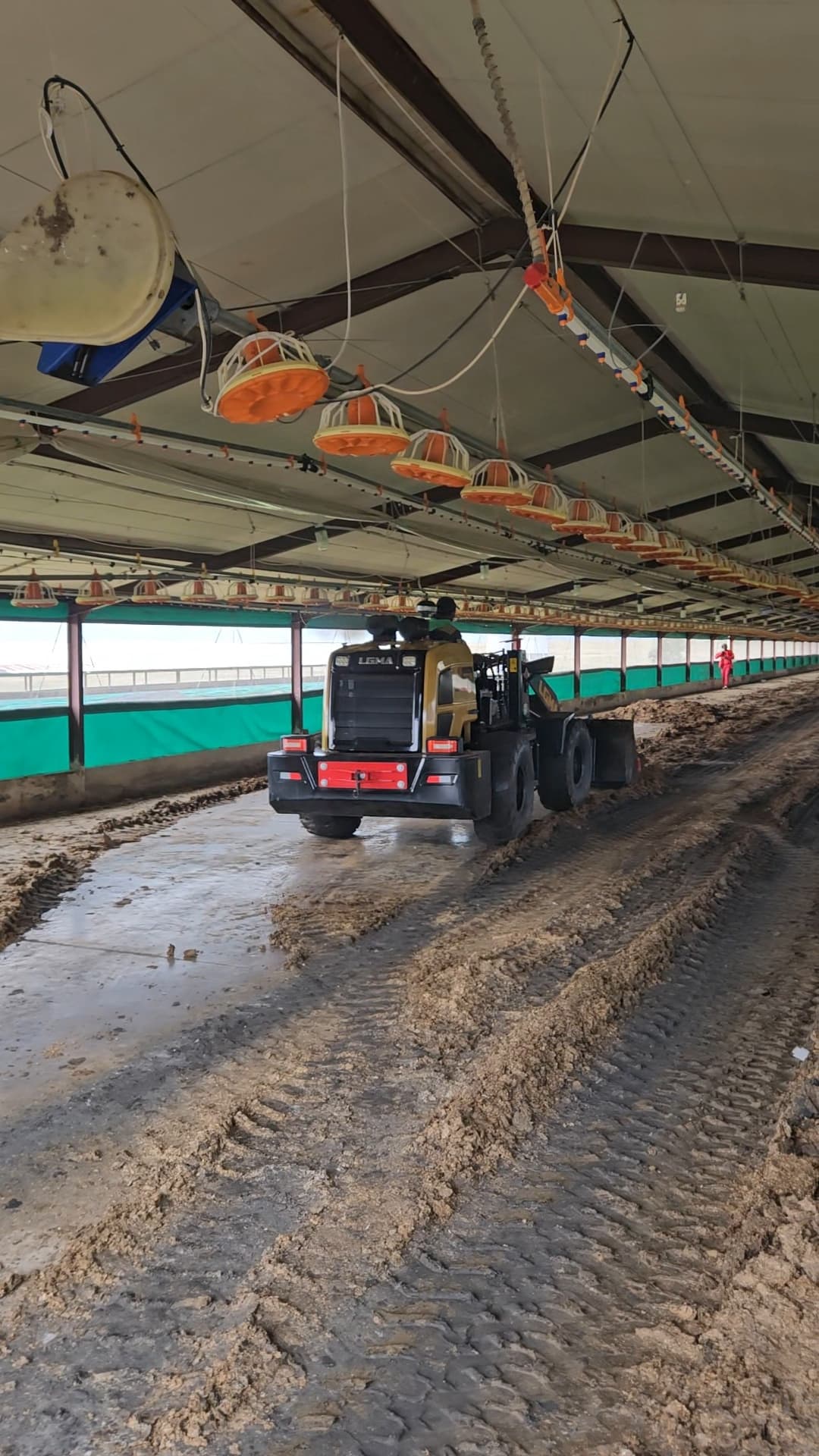 T930 Chicken Poultry Farm House Cleaning Loader