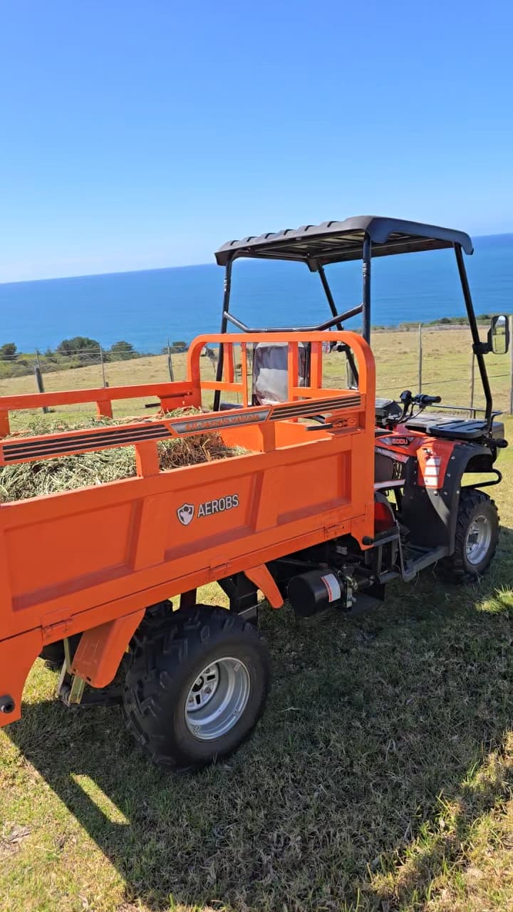 MCM BS40DU Aerobs ATV UTV for sales