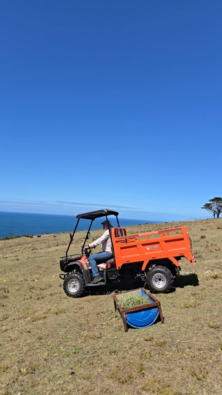 MCM BS40DU Aerobs ATV UTV for sales