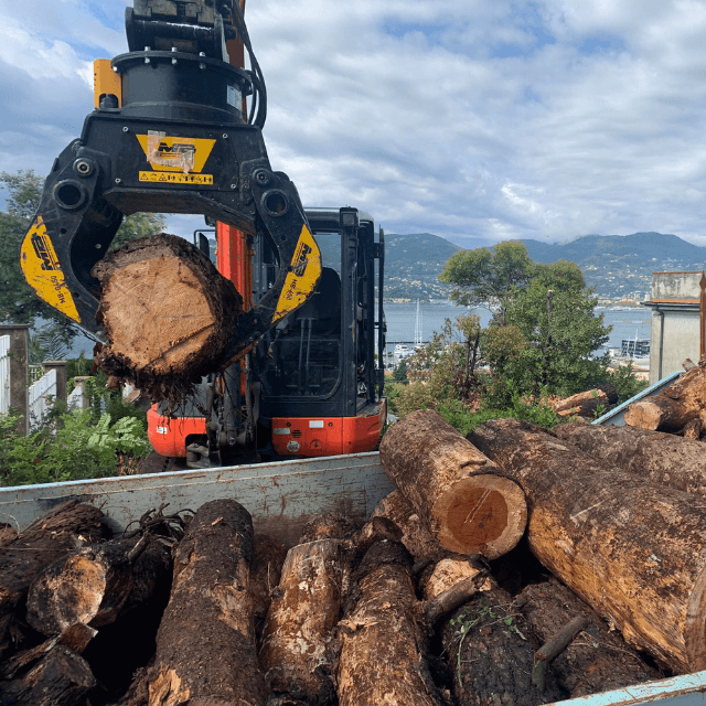 MB-G450 S4 Sorting Grapple