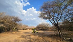 Review photo 2 from Wynand