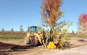 tree spade attachment