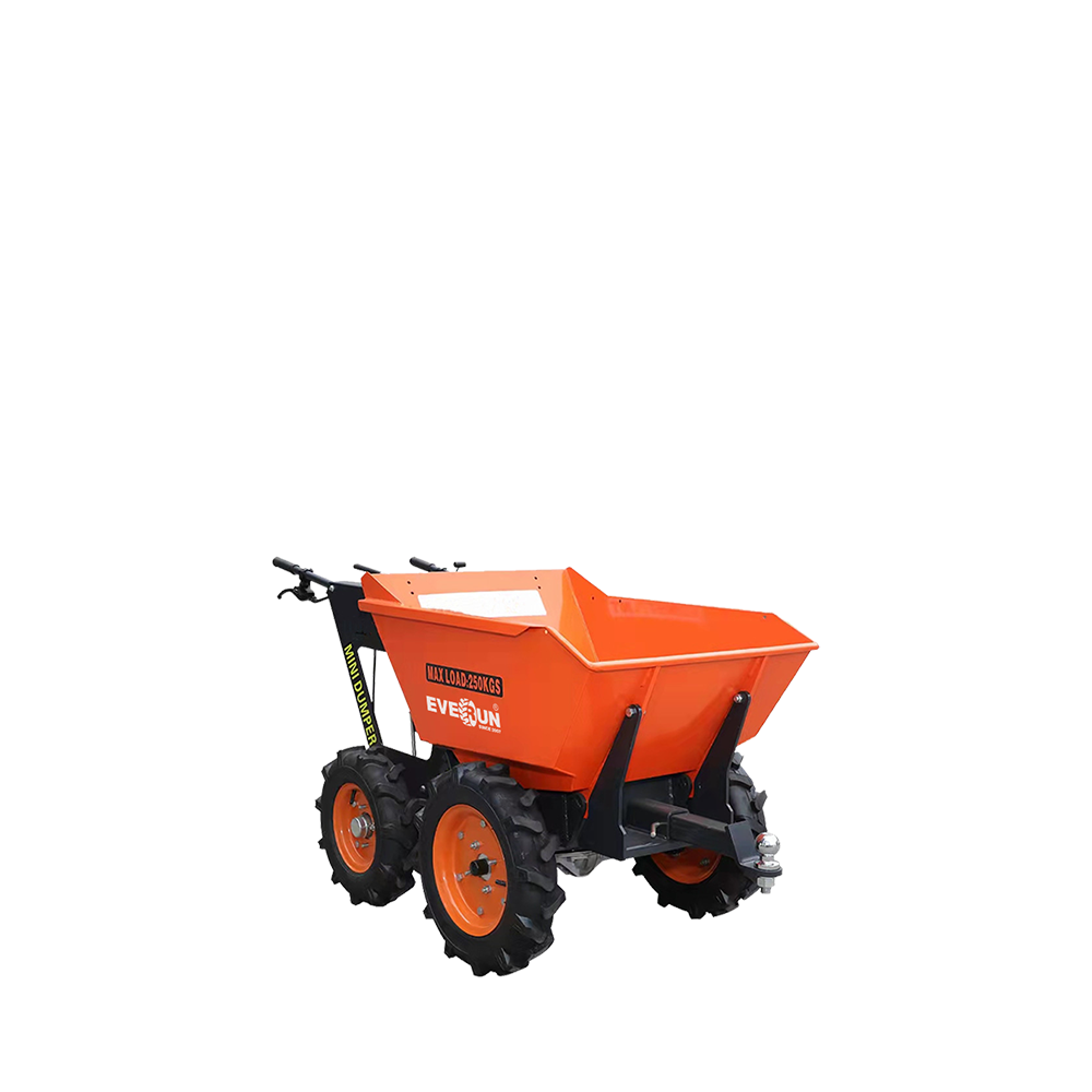 Everun ERMD250C Site Dumper Site Dumpers